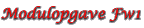 Modulopgave Fw1